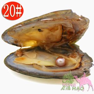 (Gratis verzending door DHL 2-5 dagen) Groothandel AAAA6-7mm vacuüm verpakte zoetwaterparel oester, parelkleur is 20 # natuurlijk paars