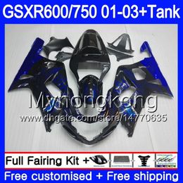 + Tank voor Suzuki GSX-R750 GSXR 750 600 K1 GSXR600 01 02 03 294HM.12 GSX R600 R750 GSXR-600 GSXR750 Blue Flames Light 2001 2002 2003 Valerijen