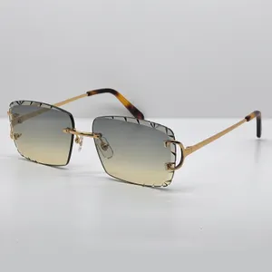 0920 Y2K Designer Zonnebril Carter Diamond bril Eyewear Outdoor Cool Decoraiton Vintage Mens Shades Lentes de Sol Mujer Lunette Piccadilly onregelmatige frameless