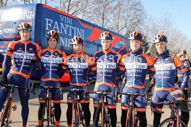 vini fantini cycling jersey