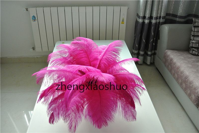 fuchsia ostrich feathers