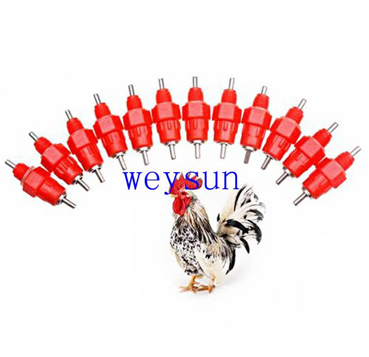 Nipple Drinker Feeder Water Cups Chicken Drinkers Waterer 360