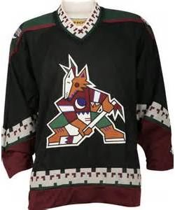 Phoenix Coyotes #19 Shane Doan White Jersey on sale,for Cheap,wholesale  from China