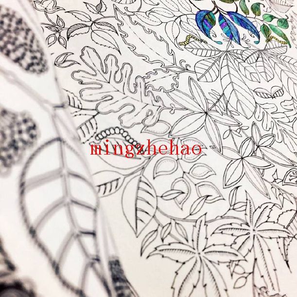 2018 New Box Secret Garden An Inky Treasure Hunt And Coloring Book For Children Adult Relieve Stress Kill Time Graffiti Painting Drawing From