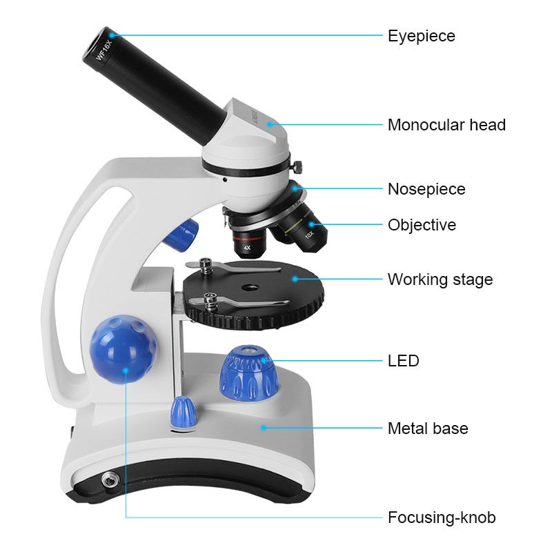 Microscope biologique professionnel pour élèves du primaire et du