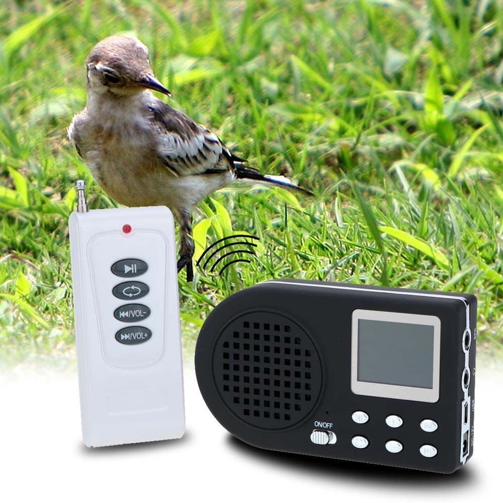 remote control bird for cats