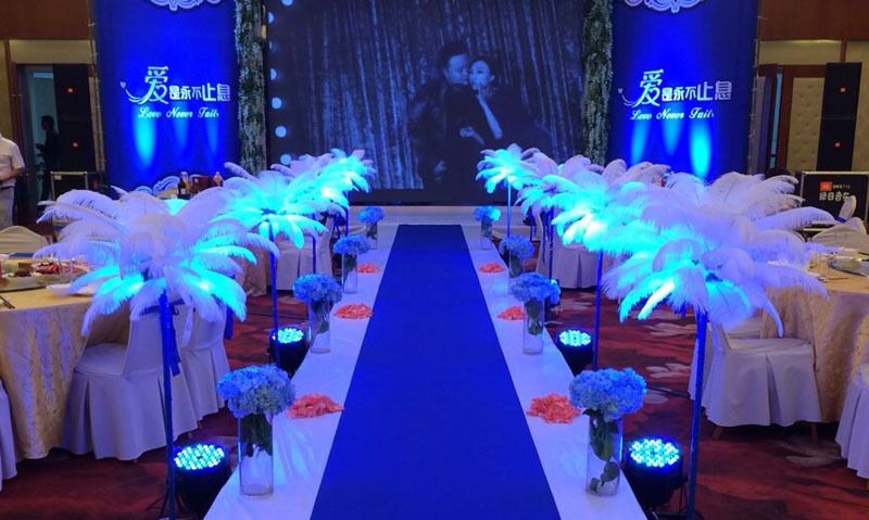 ostrich feathers for weddings