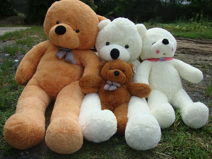 cute softtoy