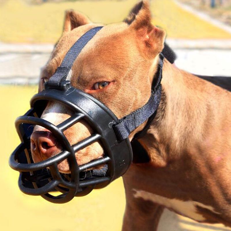 satin al hayvan urunleri kopek namlu yumusak silikon agiz anti bark pitbull sheperd golden retriever icin kopek egitim namlu bite maske tl181 28
