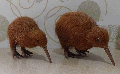 kiwi toys