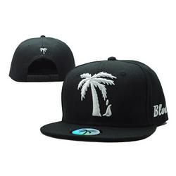 Palm Trees and Sunset 1 Children Hip Hop Visor Cap Black