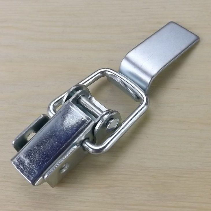 case buckle