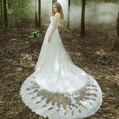 Grosshandel Die Braut Brautkleid 2016 Neue Kontrahierte Schwanz Wischen Einen Busen Um Kleine Taille Brautkleid Schleppen Zu Kultivieren Jede Sittlichkeitsgefuhl Sh Von Vividxin 61 45 Auf De Dhgate Com Dhgate