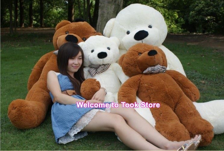 3m teddy bear