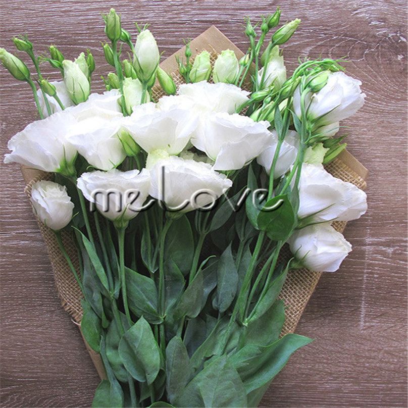 10 Semillas granuladas Eustoma Lisianthus Flor doble blanca Increíble flor  cortada Perfecta para bordear bordes, plantar