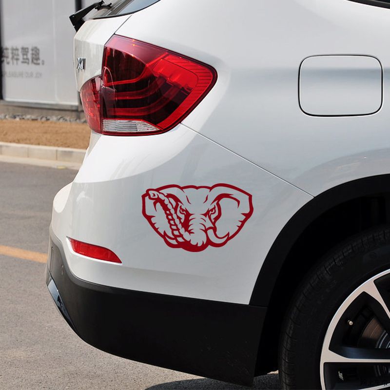 17 Colours Van Decal Bumper Sticker Rally DUB JDM euro Dakar Skull Car