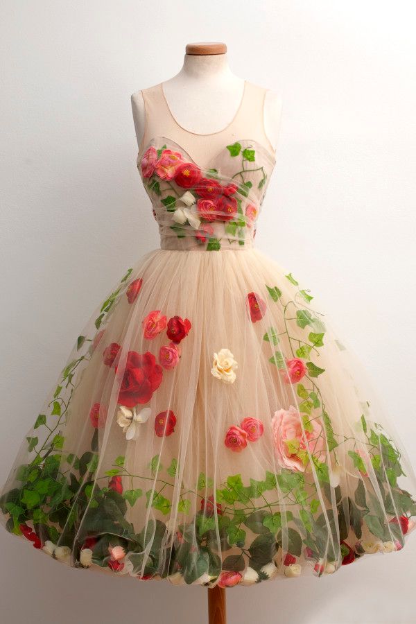 ivy rose prom dresses