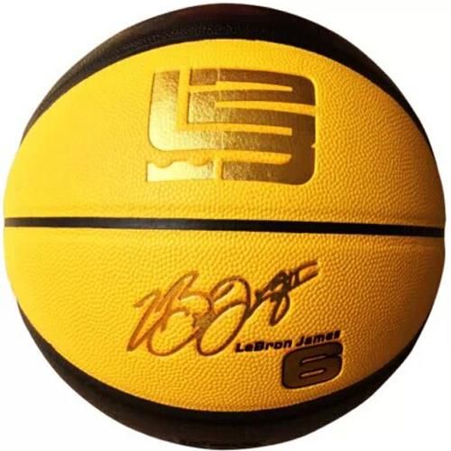 lebron james basketballs