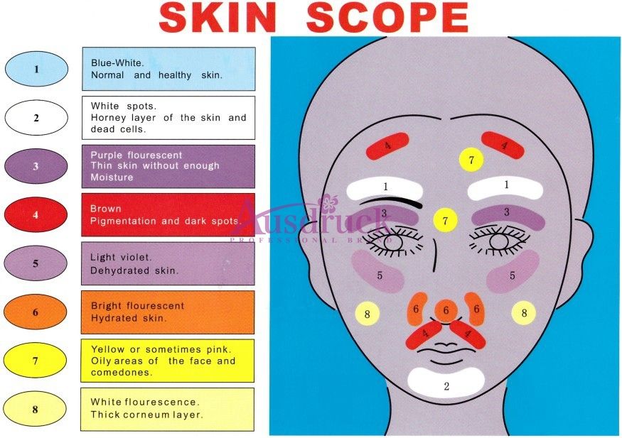 Facial Analysis Chart