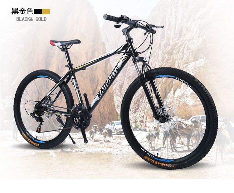 mountain bike no gears