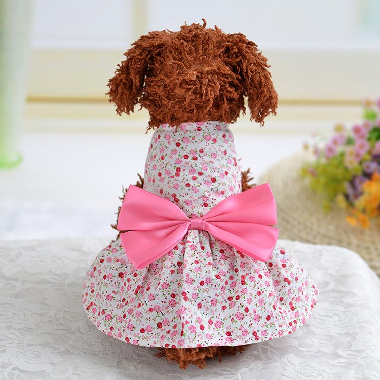 female dog clothes and accessories