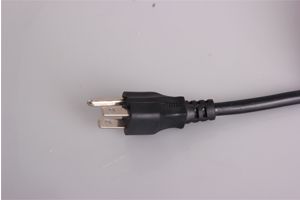 US 110V plug