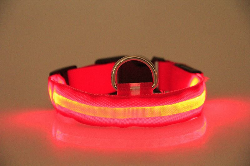 2020 LED Light Flashing Dog Pet Collar Outdoor Luminous Night Safety