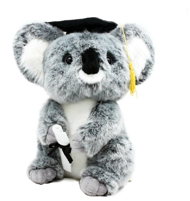 graduation stuffed animal
