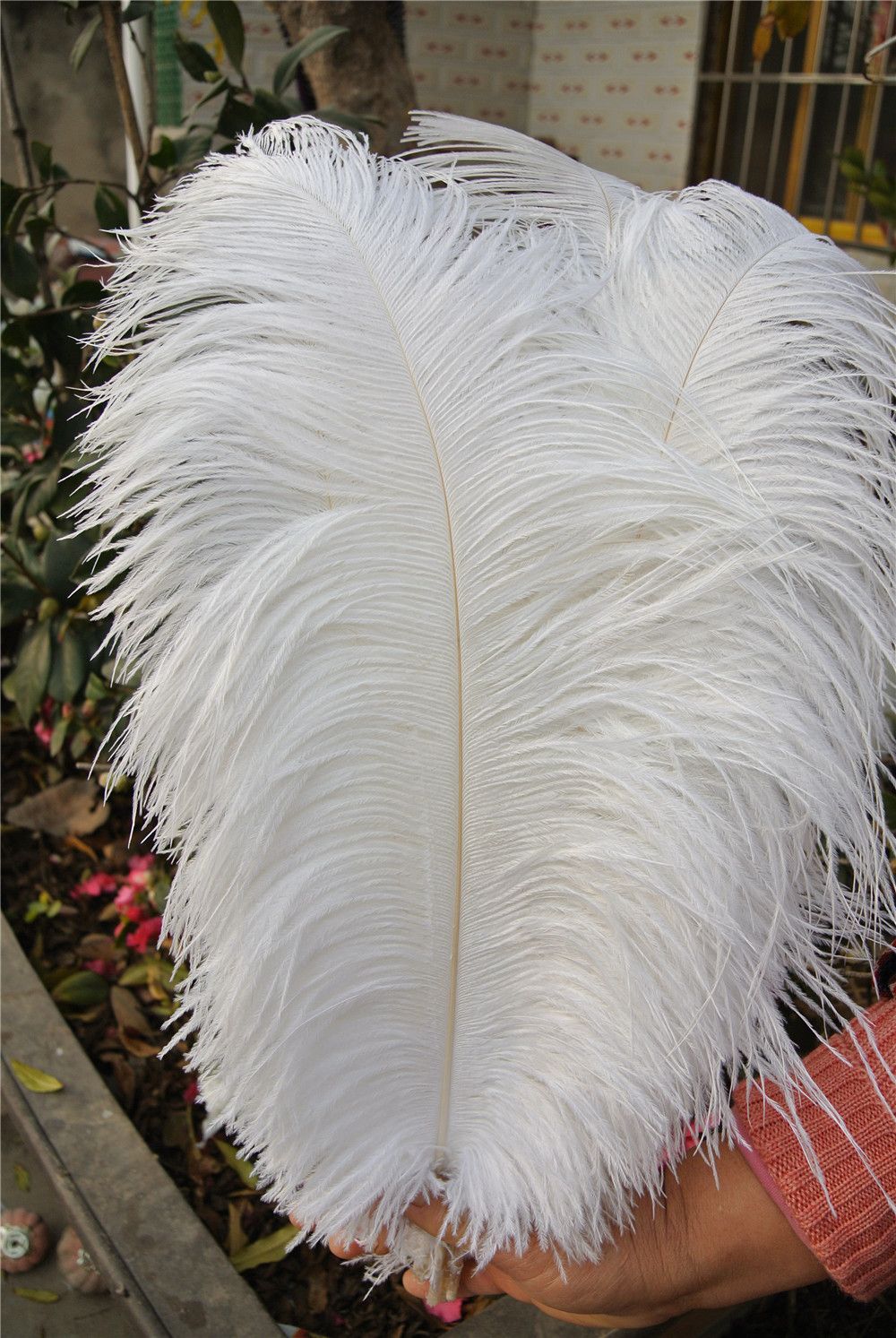 white feather plumes wholesale