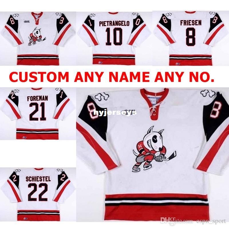 niagara icedogs jersey