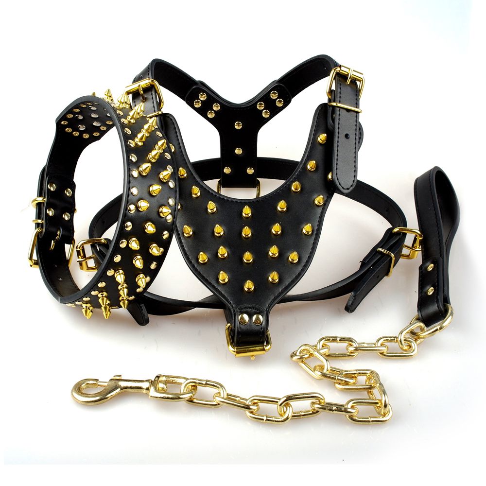 satin al altin spike civili deri kopek pet pitbull kosum civili yaka zinciri tasma buyuk kopekler icin set tl330 97 tr dhgate com