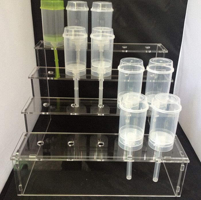 Best Acrylic Base Cake Pop Stand Containers Push Up Cakes Holder