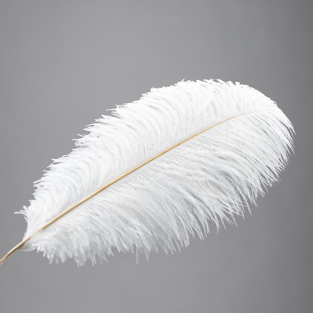 Mwoot White Feathers Plumas de Ganso Hogar Bricolaje 250pcs Blanco Natural Plumas de Gallo Manualidades Decoración para Disfraces Hats accesorio de disfraz Ropa Casa Fiesta 