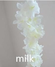 MILK WHITE