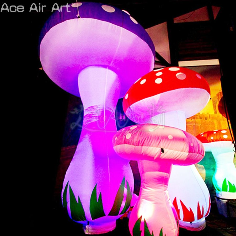 Download Ozean dekorationsideen For iPhone Ozean Dekorationsideen