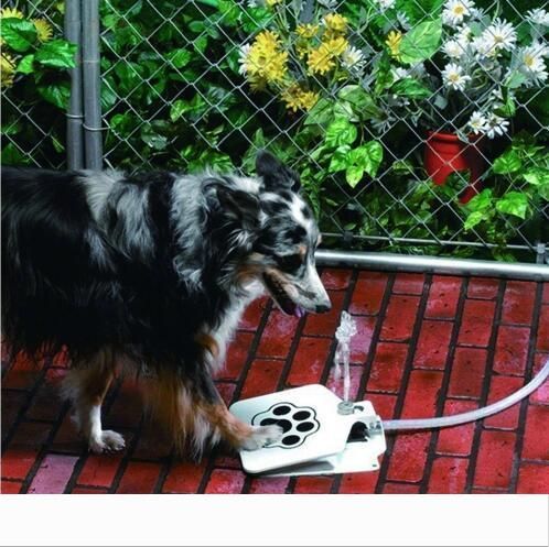 dog pet water fountain