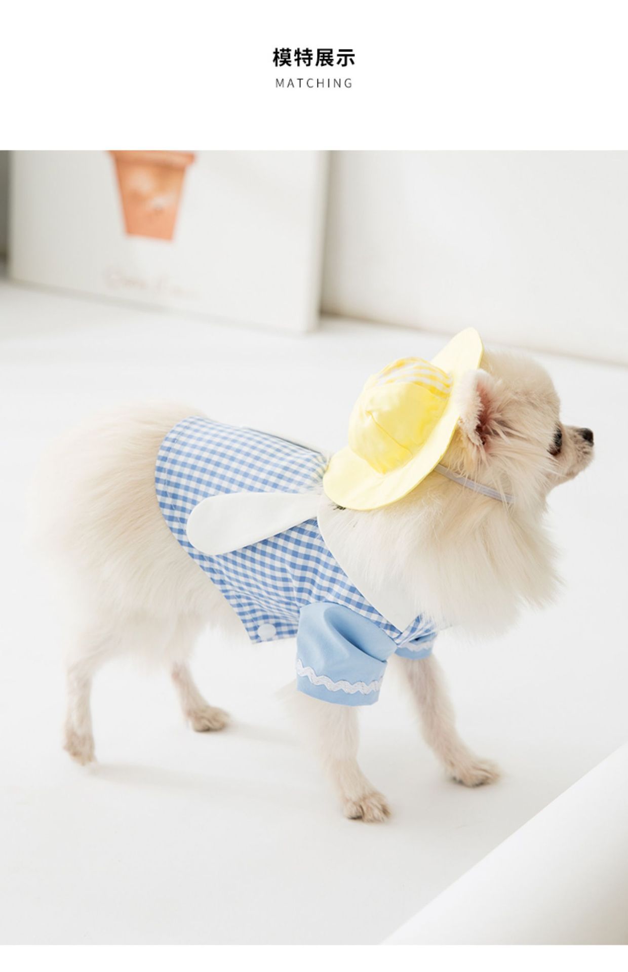 luxury dog supplies