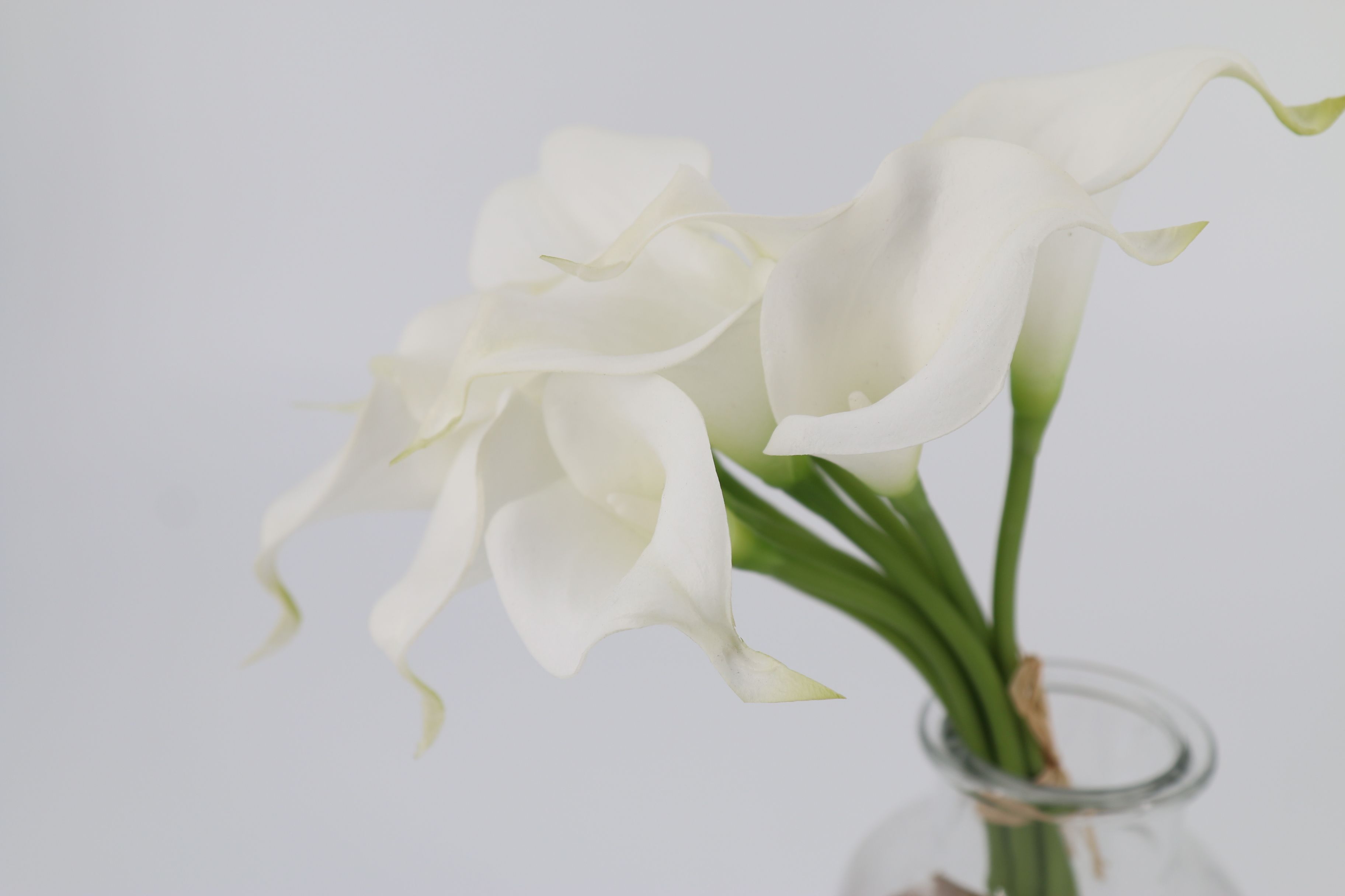 Blanc artificielle Calla Lily Faux Arum Potences Bouquet Faux mariage de  fleur de demoiselle d'honneur mariée Accueil Décor Centerpiece Composition  florale