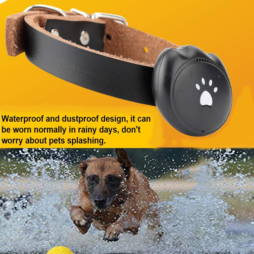 Smartlife GPS Pet Tracker & Activity Monitor Pets & Rare ...