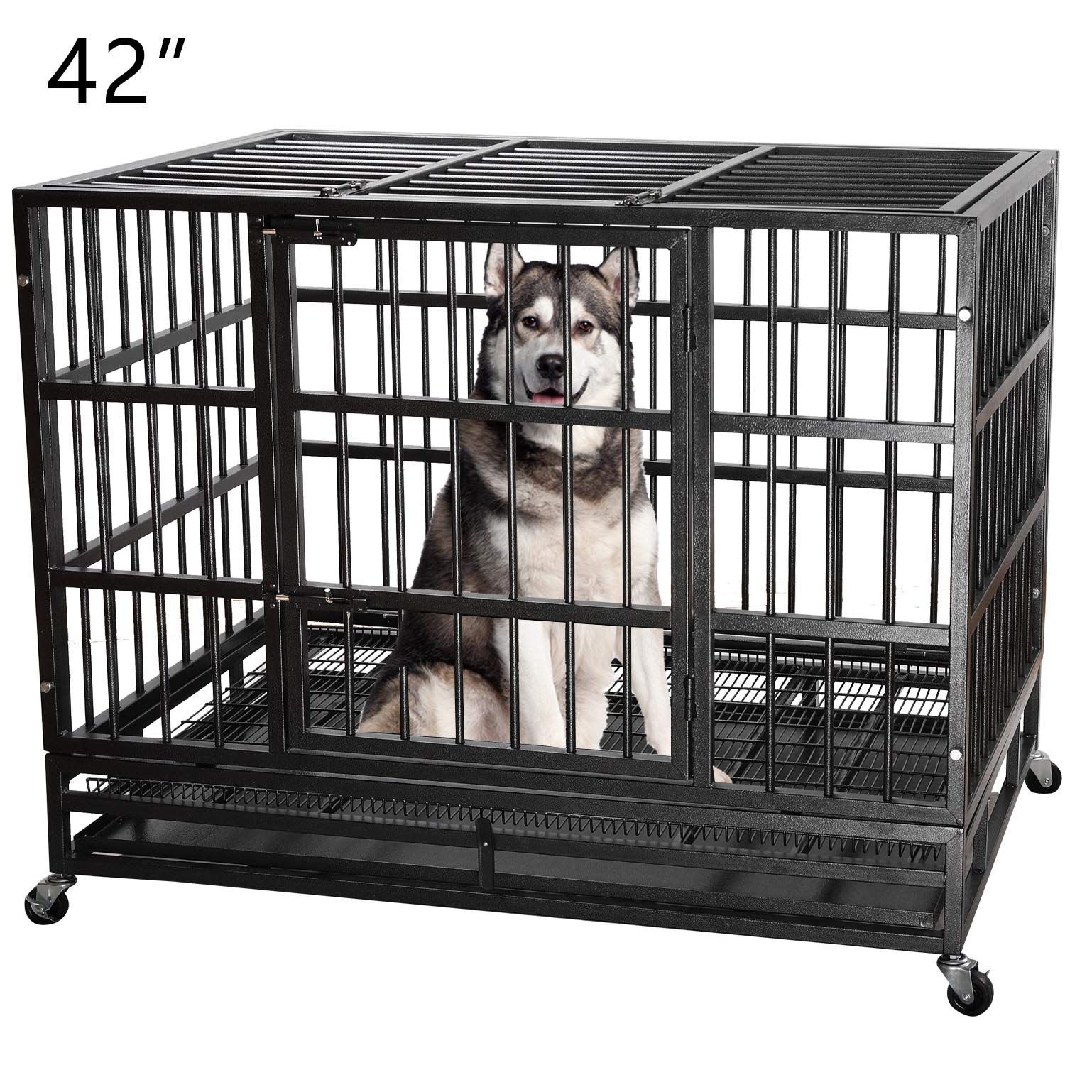 metal dog cage
