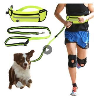 dog running harness