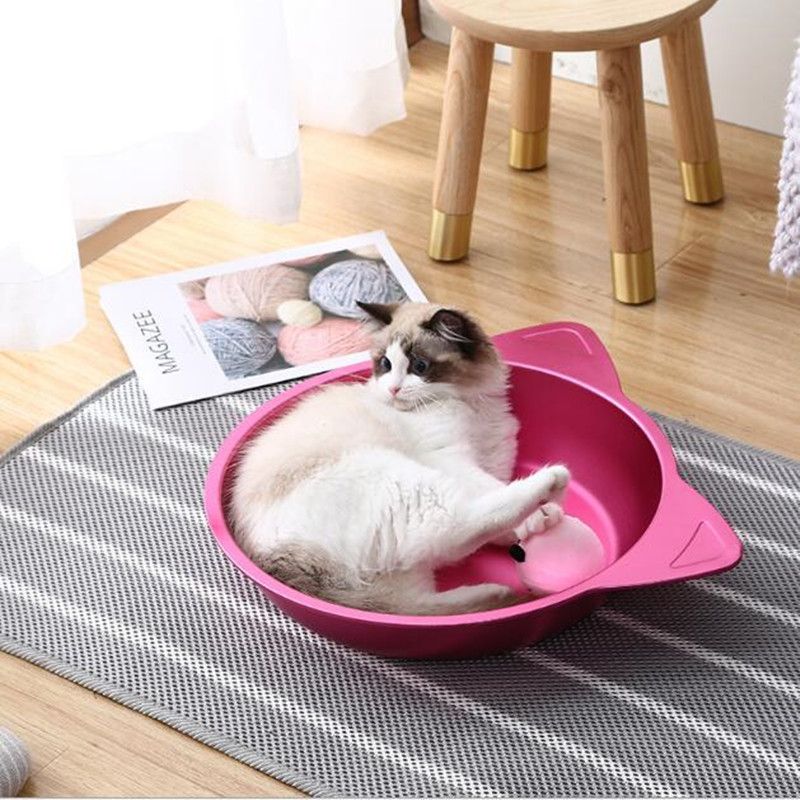 cool beds for cats