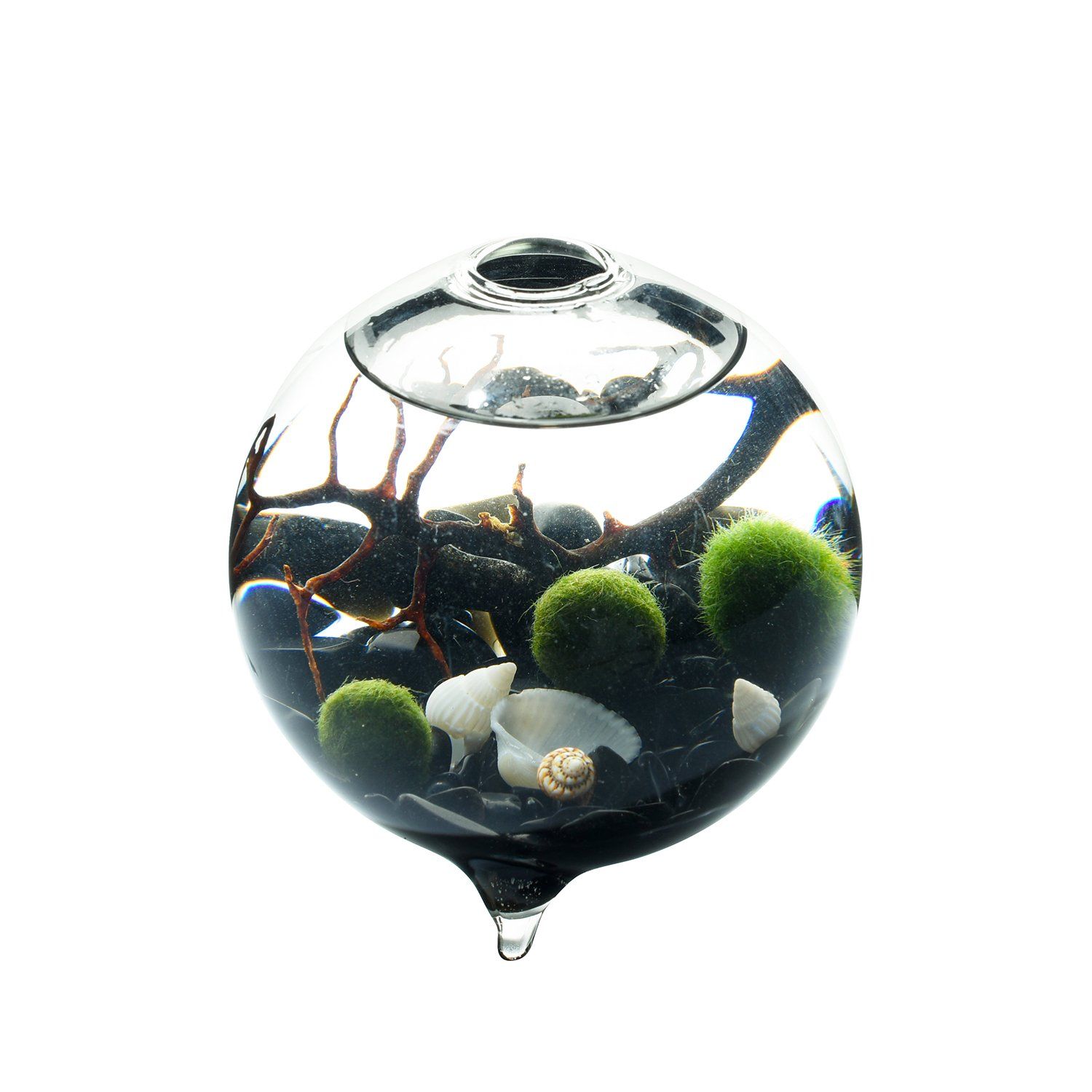 Marimo Terrarium Kit 9CM Footed Globe Terrarium 3 Living Moss Balls