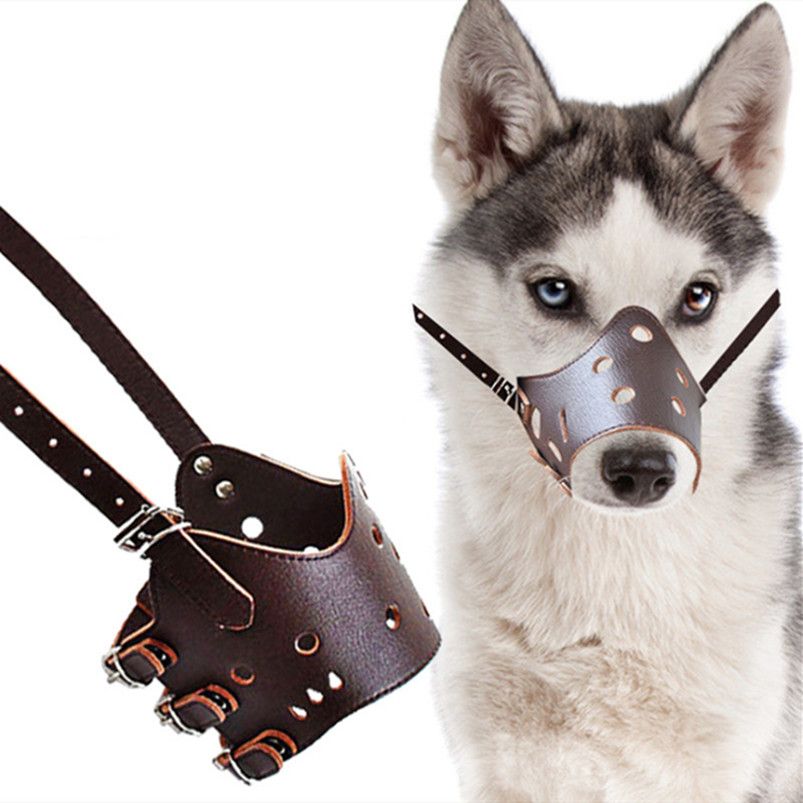 2020 Wholesale Dog Collars & Leashes Protective Bite Pet Supplies