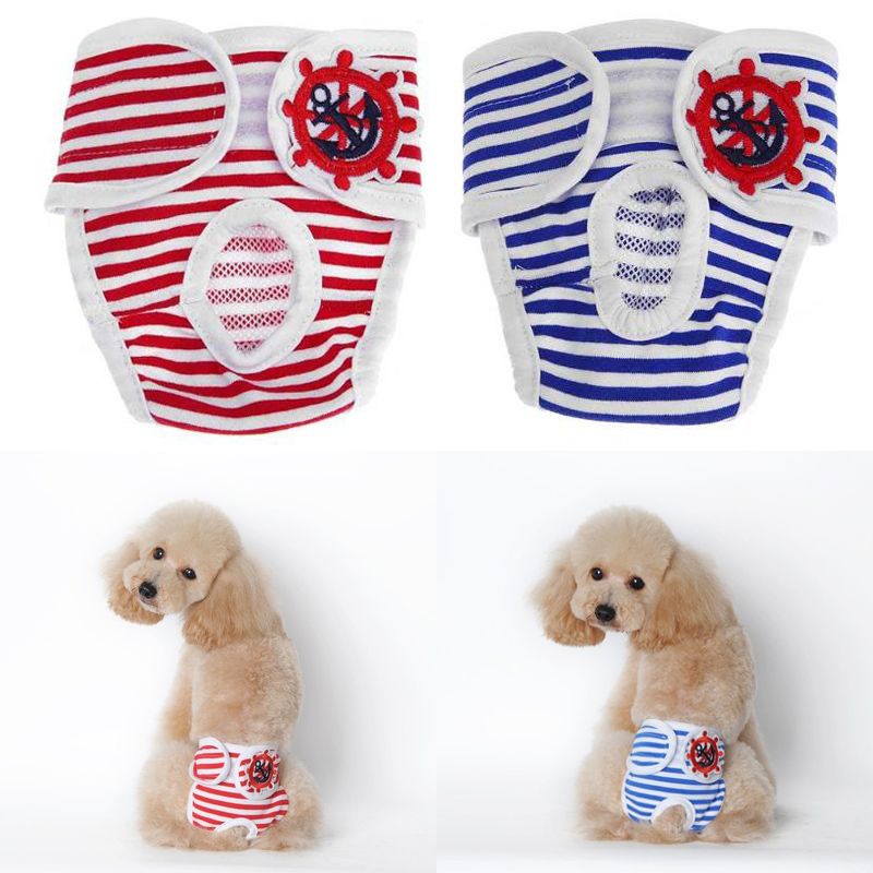 Hunde Menstruation