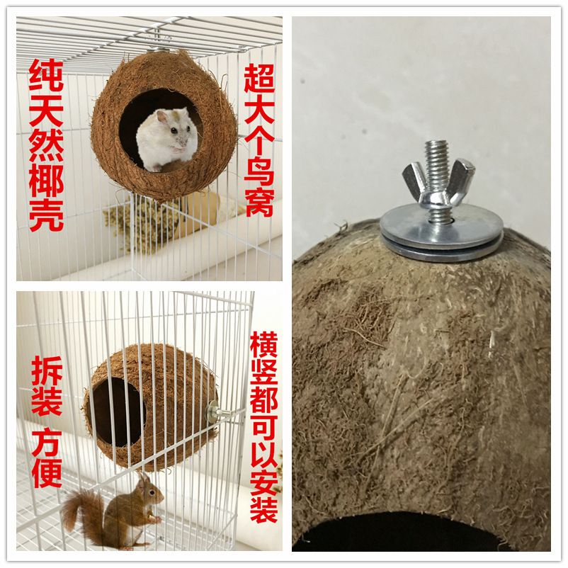 Acheter Perroquet Enveloppe De Noix De Coco Le Nid Doiseau Coquille De Noix De Coco Fossa Ecureuil Hamster Reproduction Nid De Peau De Tigre Pivoine Le Nid Doiseau De 7 81 Du