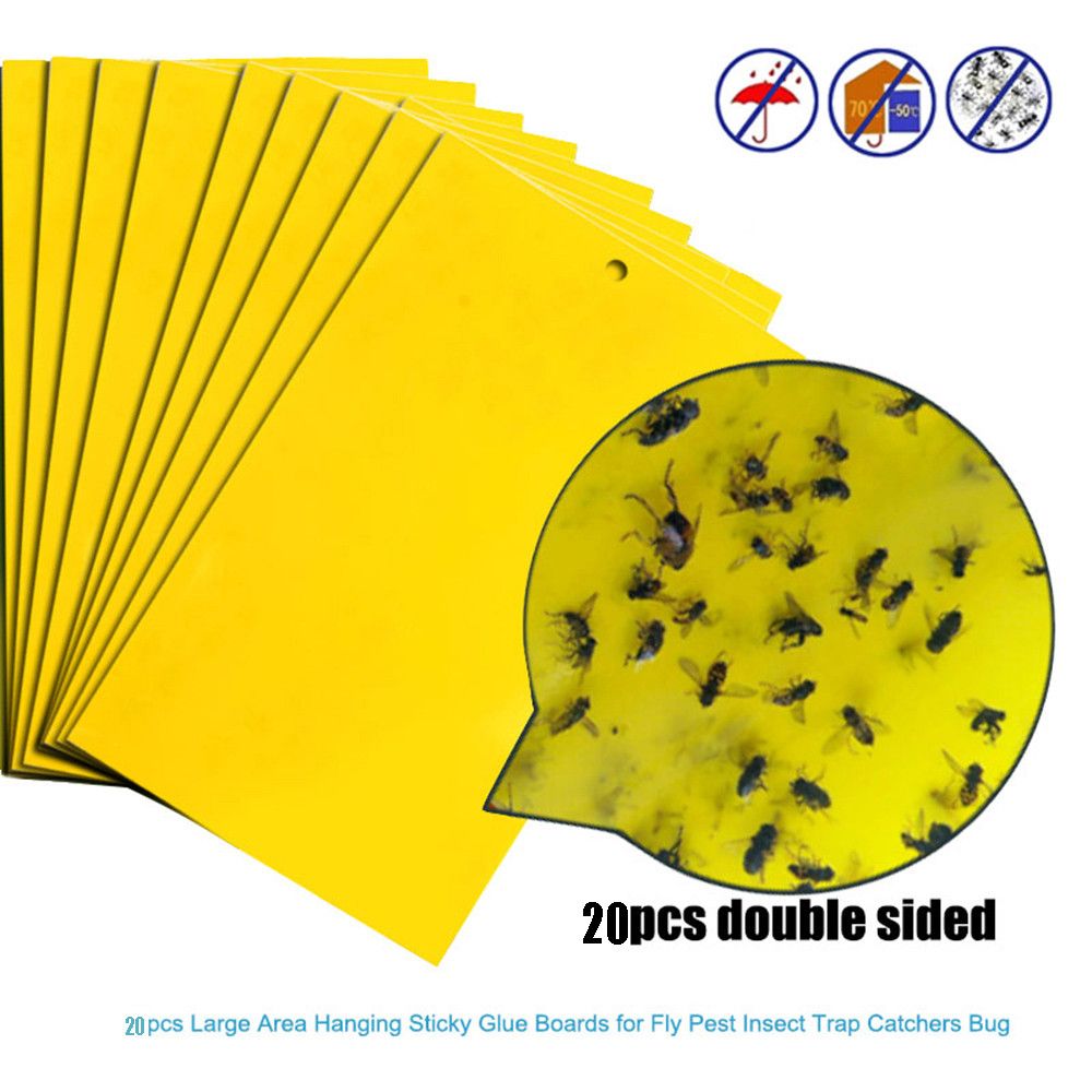 Mecohe 20Pcs Sticky Carta Trappole Adesive per Mosche Strong Sticky Board Afide Insetti Peste Killer Atossica 
