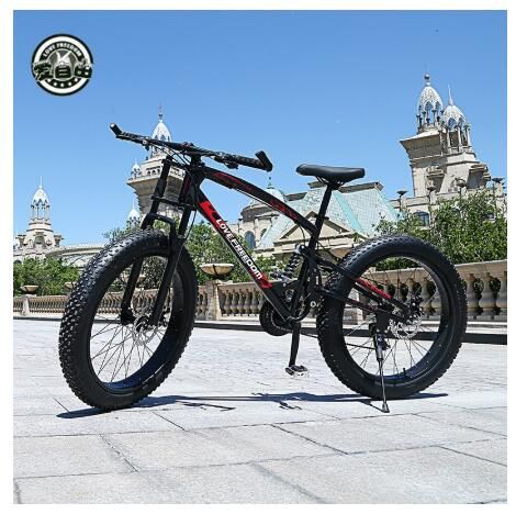 fat tire bike disc brakes