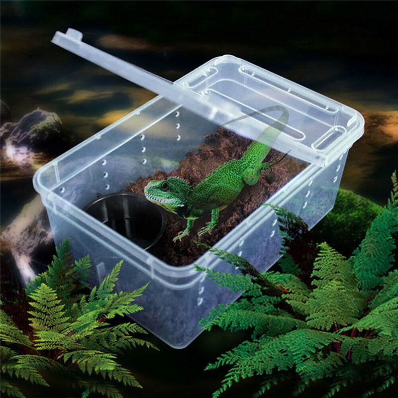 Transparent Plastic Box Insect Reptile Transport Breeding Live