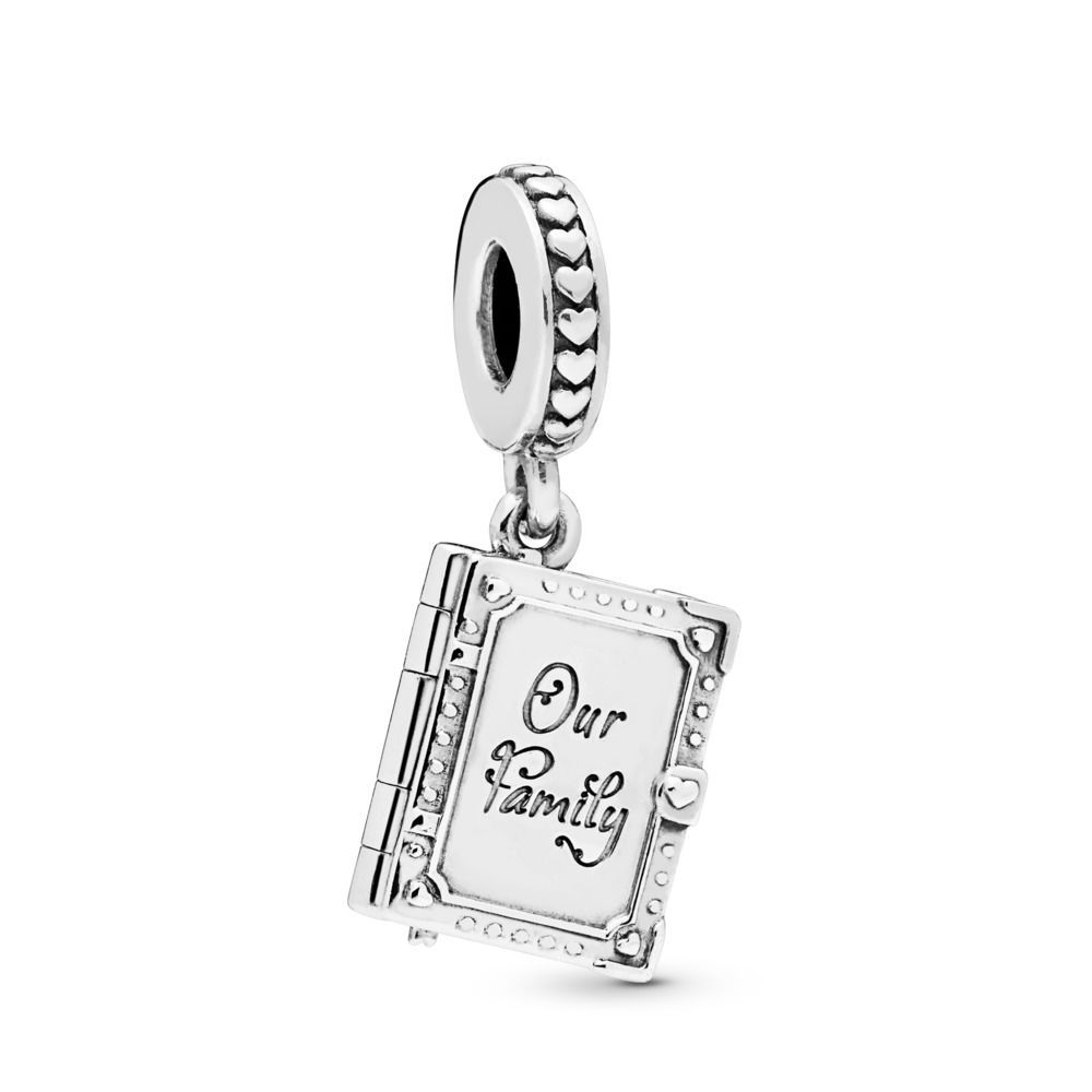 charmes pandora family charmes pandora family